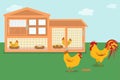 Vector illustration of a wooden chicken coop with hens hatching eggs.